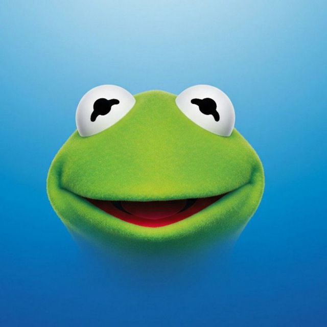 $KERMIT On TON💎