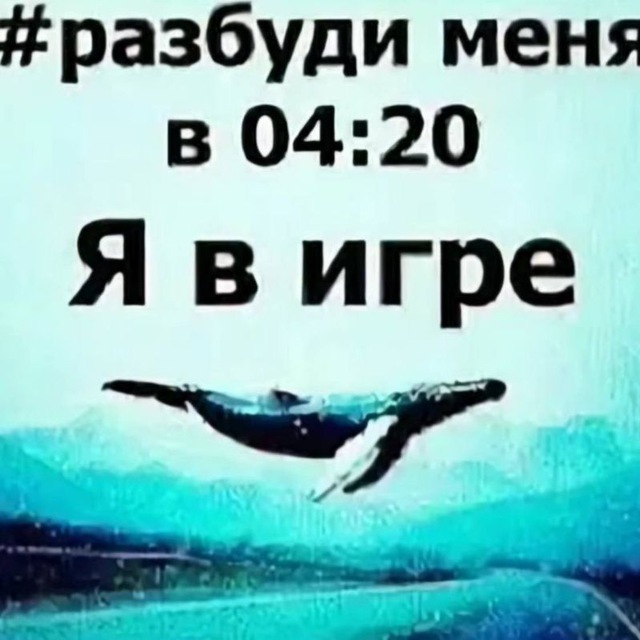 архив фзкф