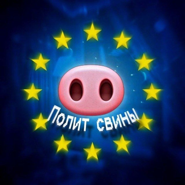 Polit sviny