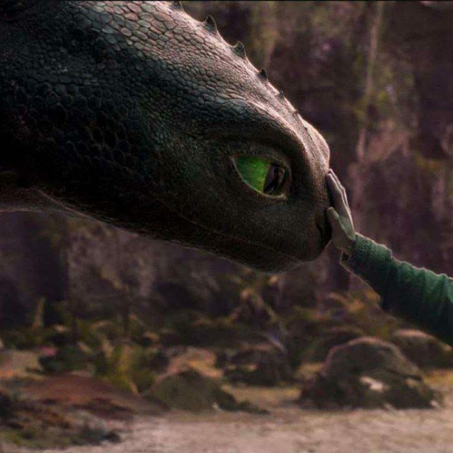 ¿Cómo entrenar a tu dragón?