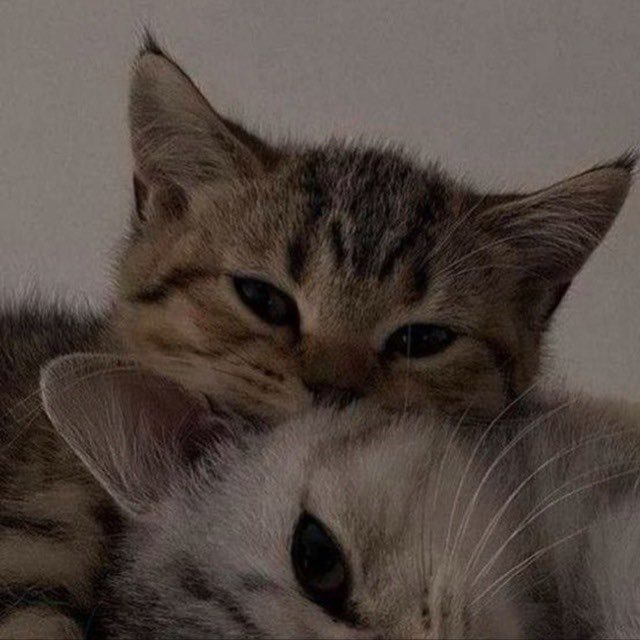 Отзывы «хочу»