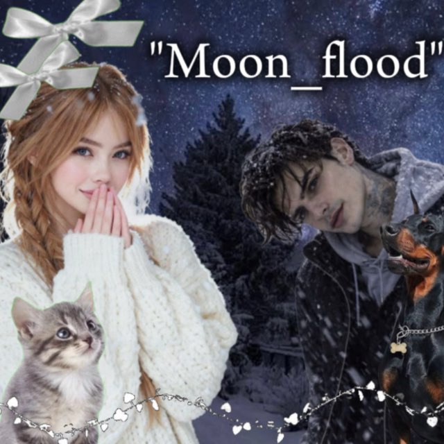 "𝓜𝓸𝓸𝓷_𝓯𝓵𝓸𝓸𝓭 𝓲𝓷𝓯𝓸"