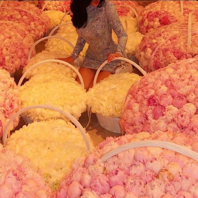 𝓔𝓵𝓪𝓷