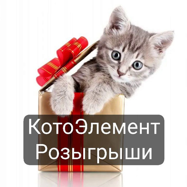 Реклама к блоггерам/розыгрыши КотоЭлемент