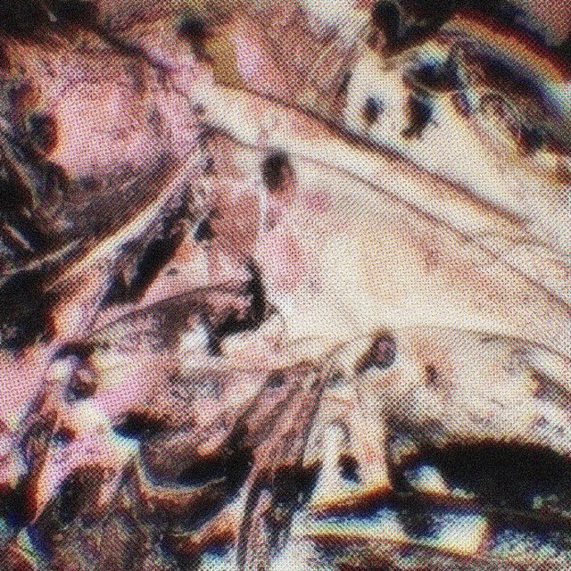 𝕎𝕐𝕐𝕄