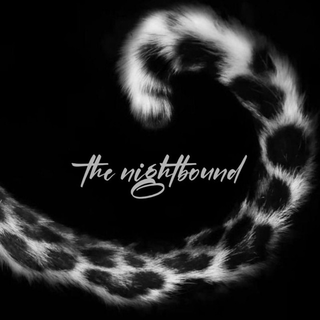 THE NIGHTBOUHD [channel]