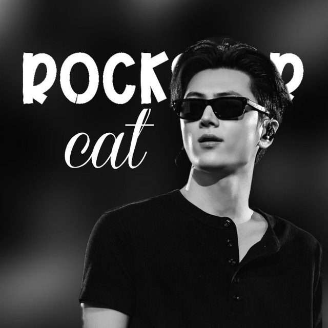РЕСТ | rockstar cat ⁷ 🩶