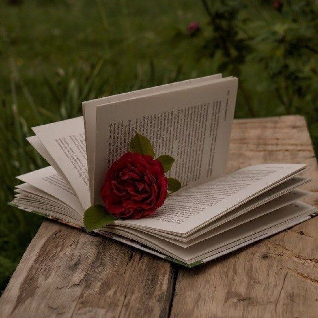 🥀 ᴇꜱᴄʀɪᴛᴏꜱ ʏ ʟɪʙʀᴏꜱ 📖📚