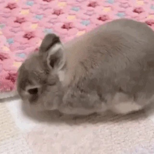 ос эничян рефы