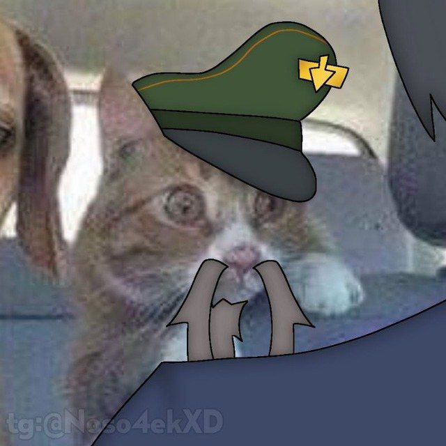 ‣ › Носочке инфо🧦 ⌫