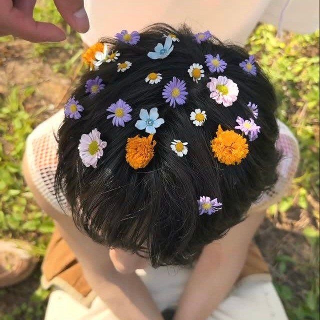 댕댕이