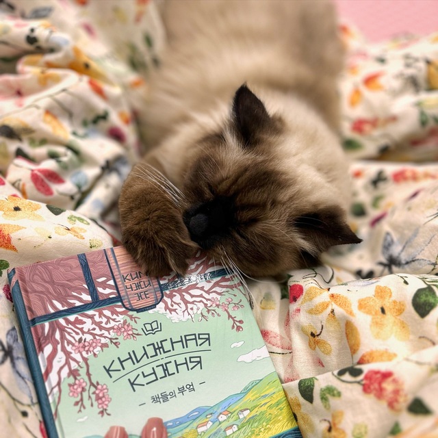 Цундоку или моя библиомания 📚