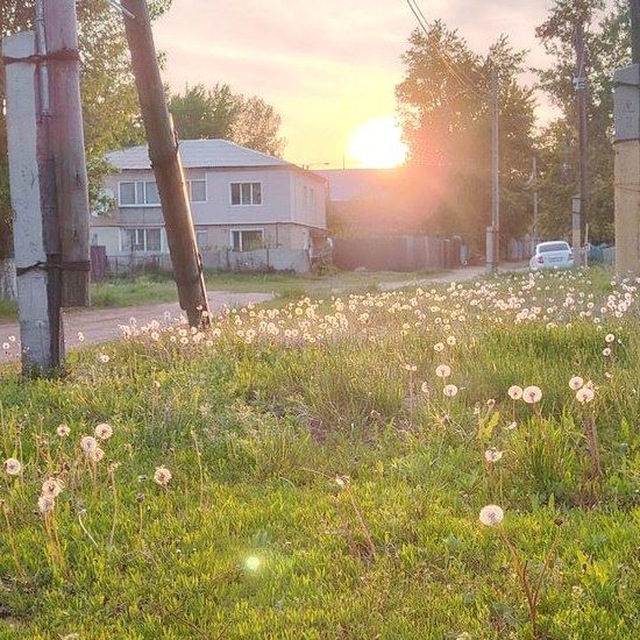 𝑀𝑎𝑟𝑙𝑎'𝑠 𝑙𝑖𝑓𝑒🍃