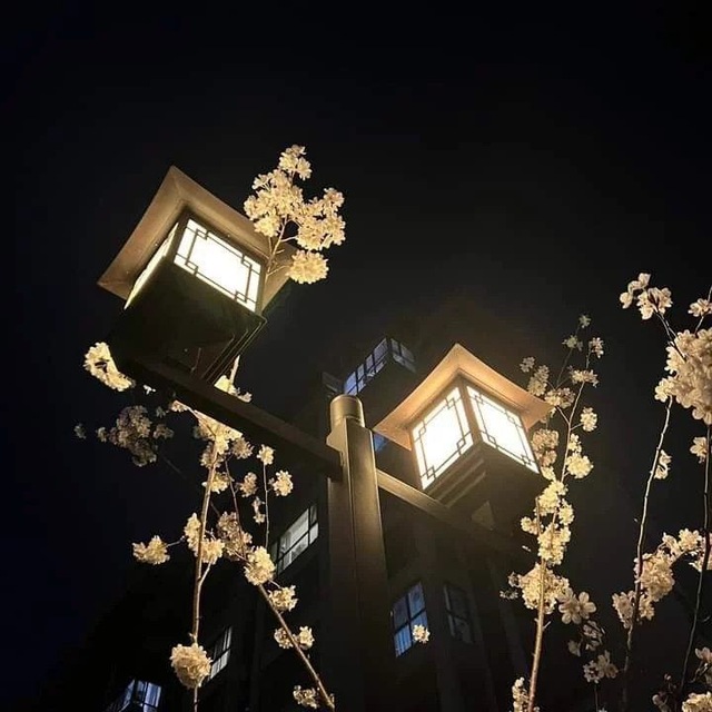 インフォメーション