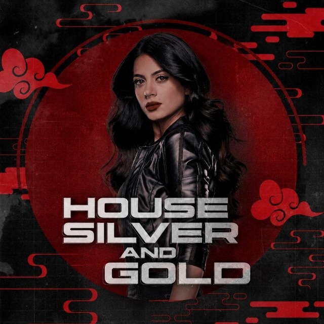 HOUSE SILVER AND GOLD
