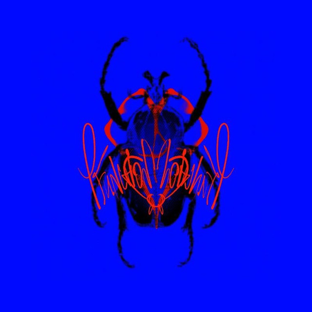 (fee)function