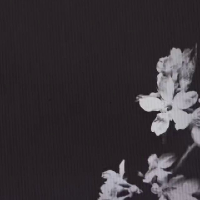 𝐋𝐄𝐒 𝐅𝐀𝐑𝐂𝐄𝐒 𝐃𝐄 𝐏𝐎𝐔𝐃𝐋𝐀𝐑𝐃.