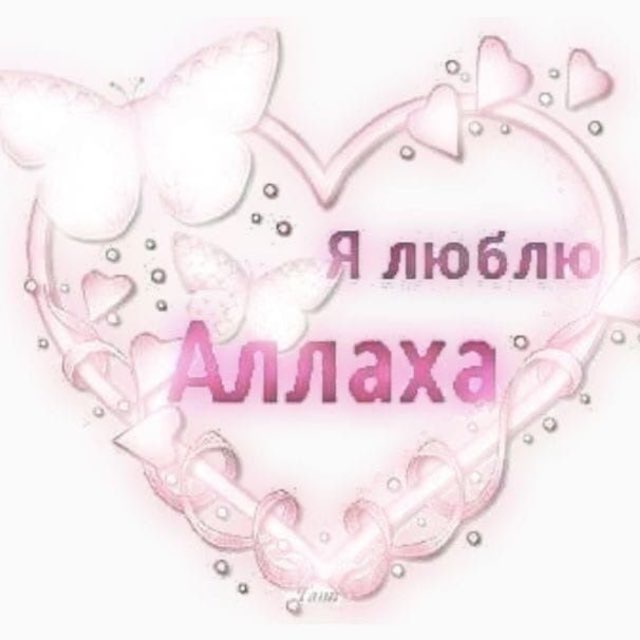 адаптер скарадурин дейли