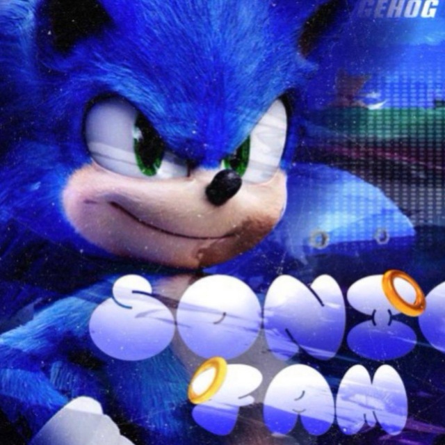 ` ` — S0NIC FAM