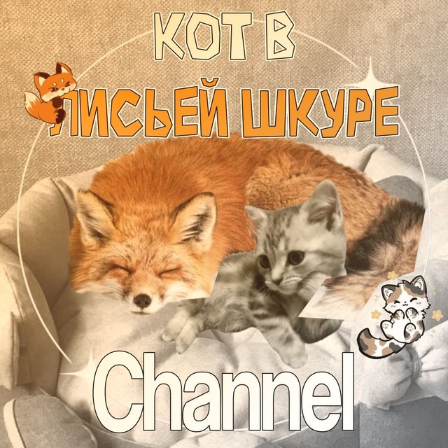 𐌺᧐ᴛ ʙ ᧘ᥙᥴьᥱᥔ ɯκуρᥱ