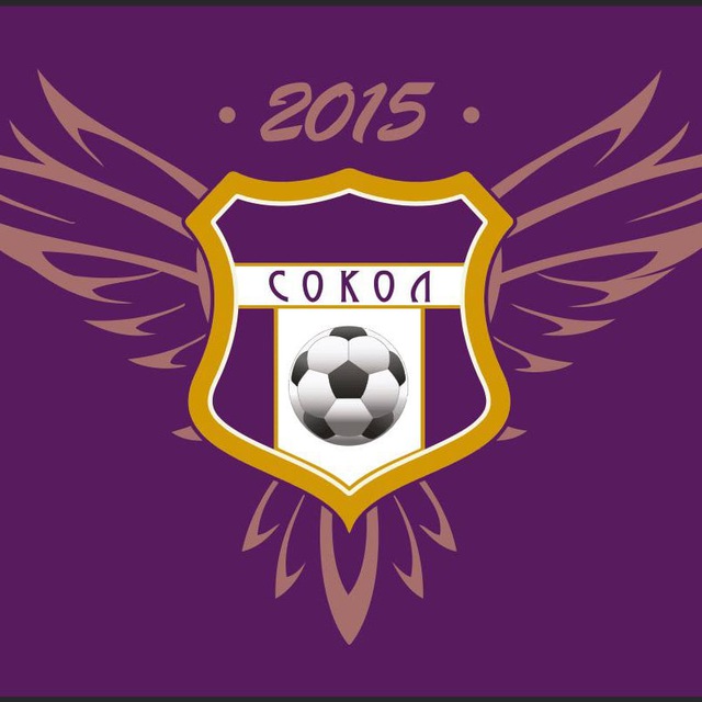 Сокол-2 (Красносельский, 2015 г.р.)