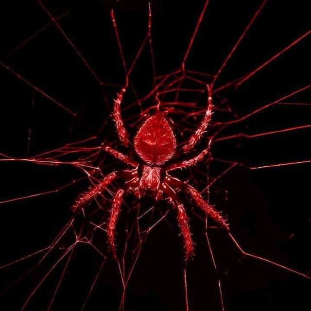 архив spider.