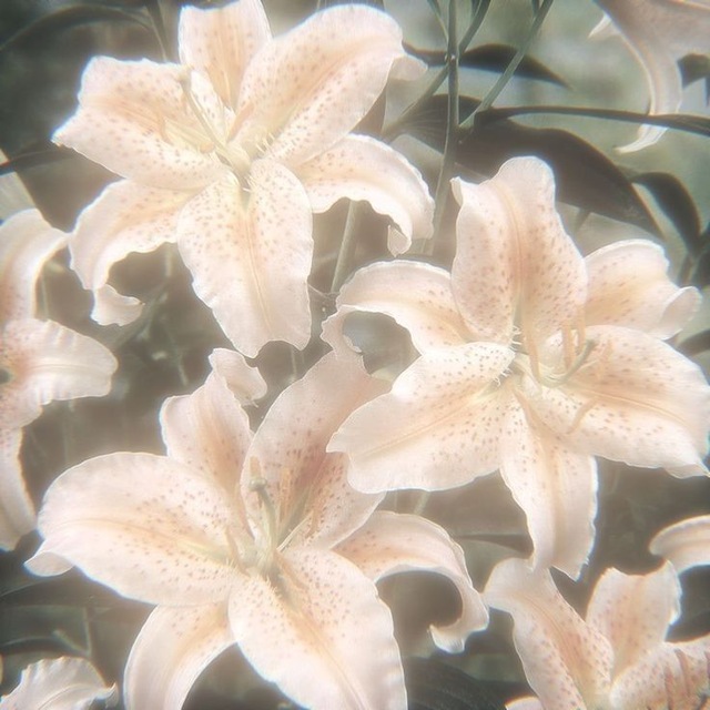 𝓘𝓷𝓯𝓸