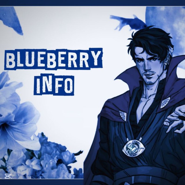 ࿙᭝•── ⪩Blueberry ꪆ୧ Info⪨ ──•࿚༅