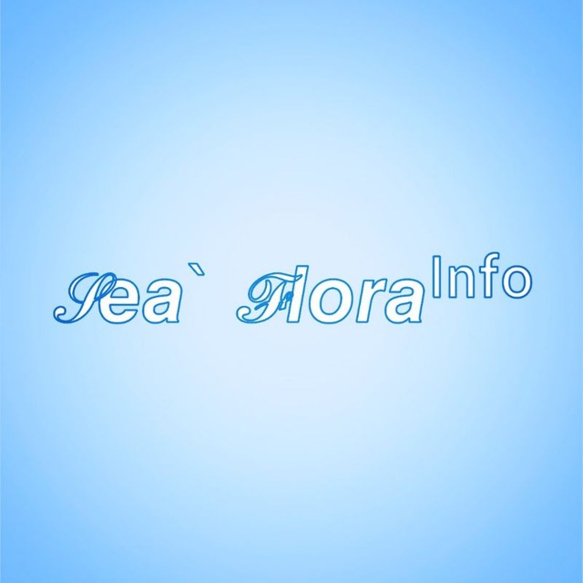 𝒮𝙚𝙖` 𝓕𝙡𝙤𝙧𝙖ᴵⁿᶠᵒ