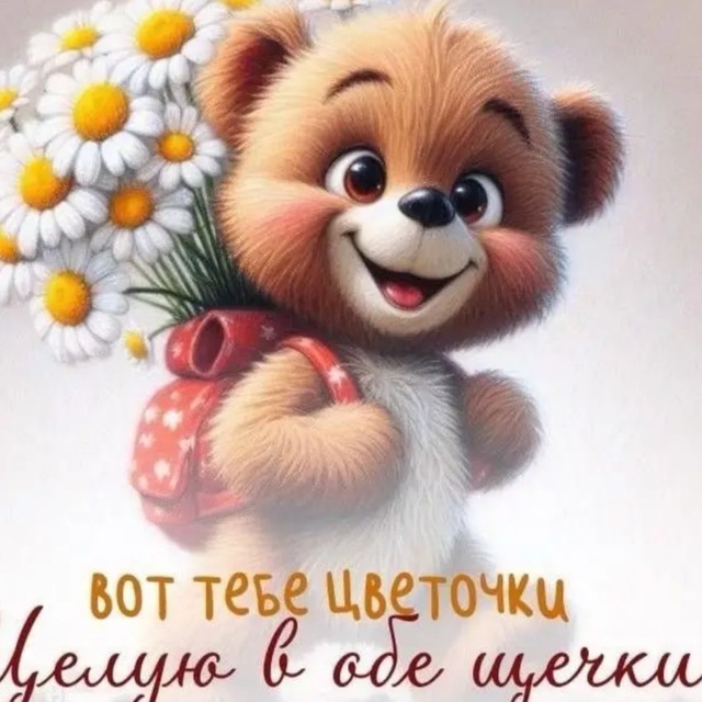 Милые котики