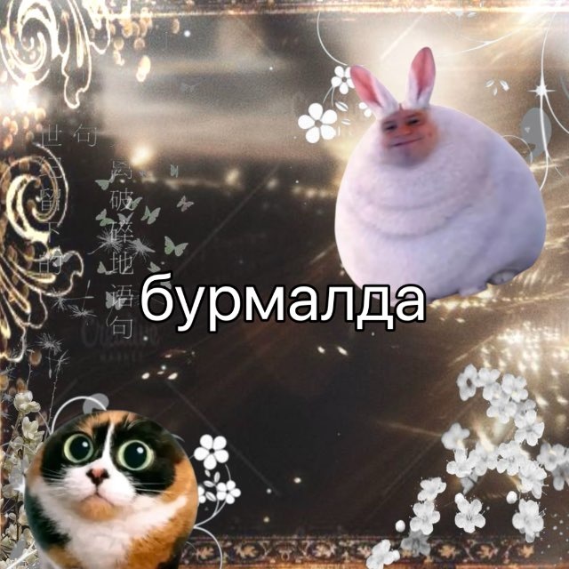 сінхуйні инфо