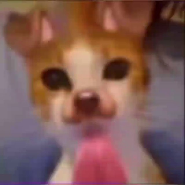 лс лч