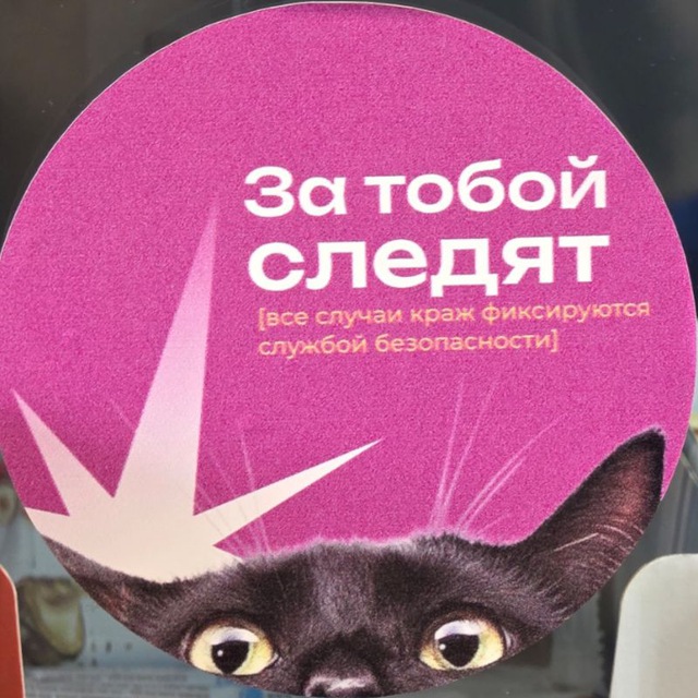 Попов Вещает