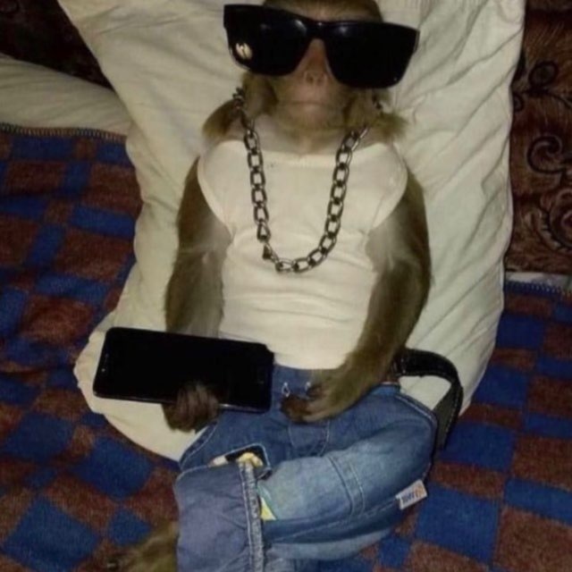 Bb