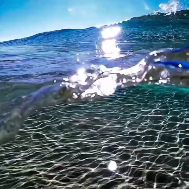 SEA LISTEN
