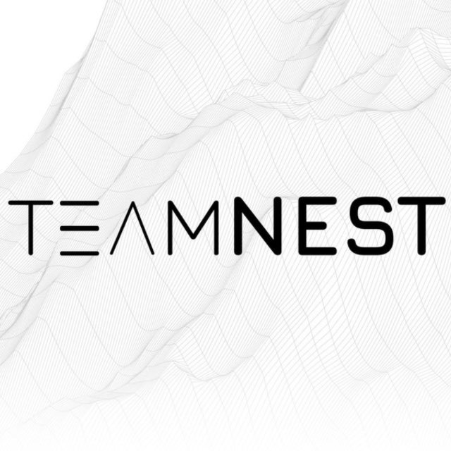TeamNest