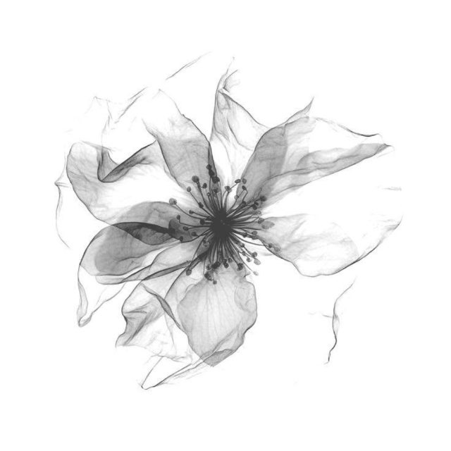 ㅤ