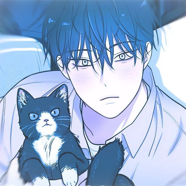 🌊⋆˚𝜗𝜚˚⋆ 𝕴𝖓𝖋𝖔 𝖈𝖍𝖆𝖓𝖓𝖊𝖑 𝑜𝓃 𝑡ℎ𝑒 ᗯᗩᐯᗴՏ⊹܀🌊