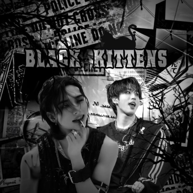 black kittens🐈‍⬛