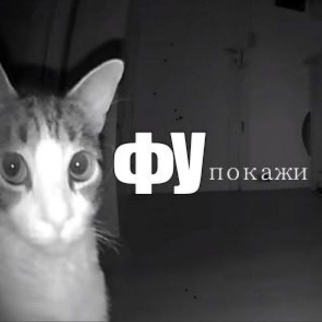 Я ПАЛИТРА