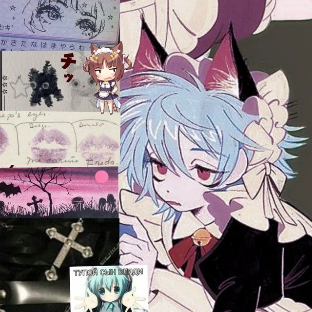 𝑰𝑵𝑭𝑶|| †ᴀᴢıı 𐔌՞. .՞𐦯