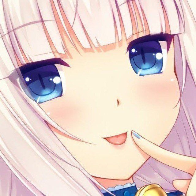 SHYNYA INFO