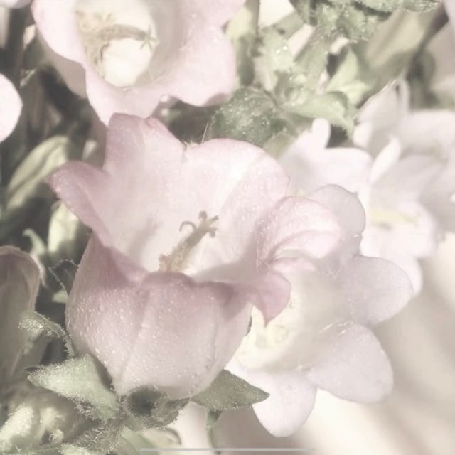 𝓴𝓮𝓿𝓾 𝓲𝓷𝓯𝓸𝓸 .♡