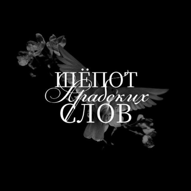 Арабские цитаты