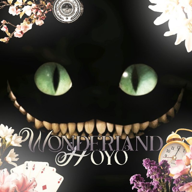 𝙃𝙤𝙮𝙤𝙒𝙤𝙣𝙙𝙚𝙧𝙡𝙖𝙣𝙙