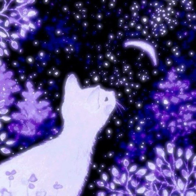 *•.¸ 𝐼𝓃𝒻𝑜 𝒞𝒽𝒶𝓃𝓃𝑒𝓁 ¸.•*