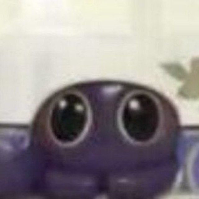 южник твар