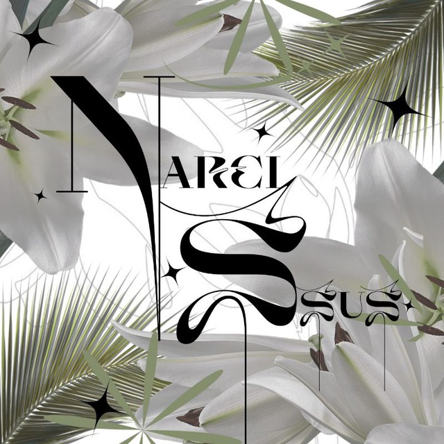 Narcissus