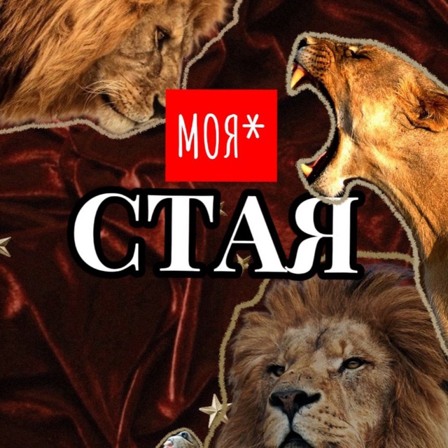 ПРАЙД отзывы