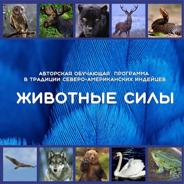 Животные силы